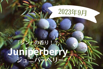 秋の初めはジュニパー！外出時にも家の中でも