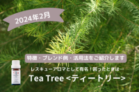 家庭でのアロマ活動におすすめ！ティートリー